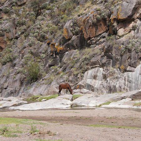 Altos Del Valle San Agustín de Valle Fértil Buitenkant foto