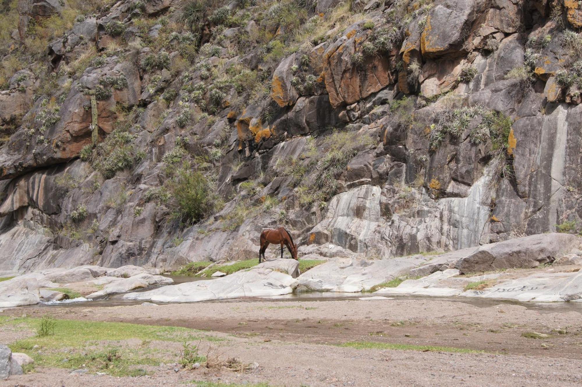 Altos Del Valle San Agustín de Valle Fértil Buitenkant foto