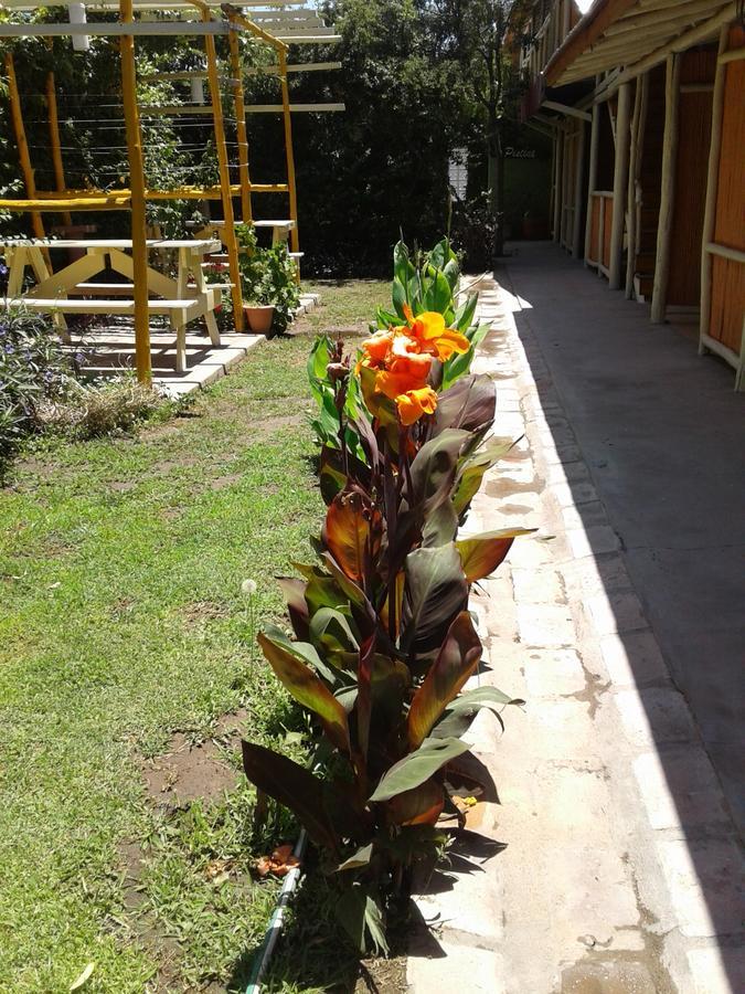 Altos Del Valle San Agustín de Valle Fértil Buitenkant foto